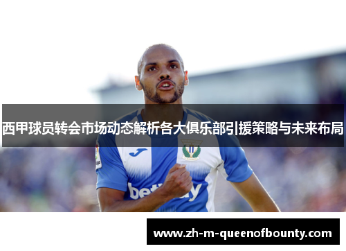西甲球员转会市场动态解析各大俱乐部引援策略与未来布局 西甲球员转会市场动态解析各大俱乐部引援策略与未来布局