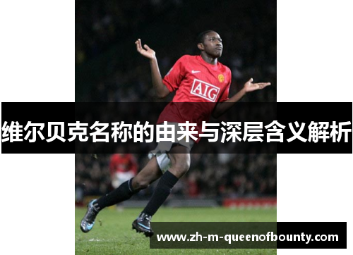 维尔贝克名称的由来与深层含义解析