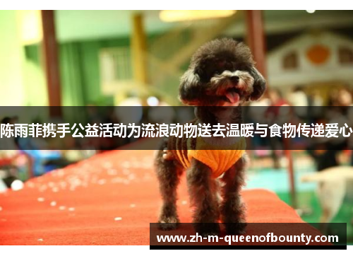 陈雨菲携手公益活动为流浪动物送去温暖与食物传递爱心