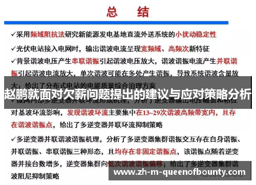 赵鹏就面对欠薪问题提出的建议与应对策略分析