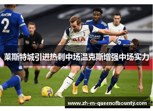 莱斯特城引进热刺中场温克斯增强中场实力