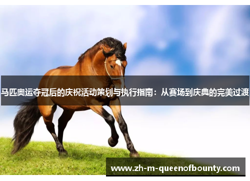 马匹奥运夺冠后的庆祝活动策划与执行指南：从赛场到庆典的完美过渡